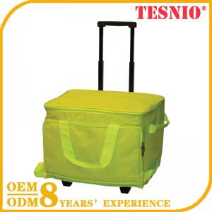 Backpack Manufacturers Usa Bulk Cooler Bag Commercial Cooler Bag TESNIO