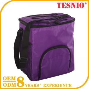 Fabric Whole Foods Cooler Bag Wholesale Lunch Bag Backpack TESNIO
